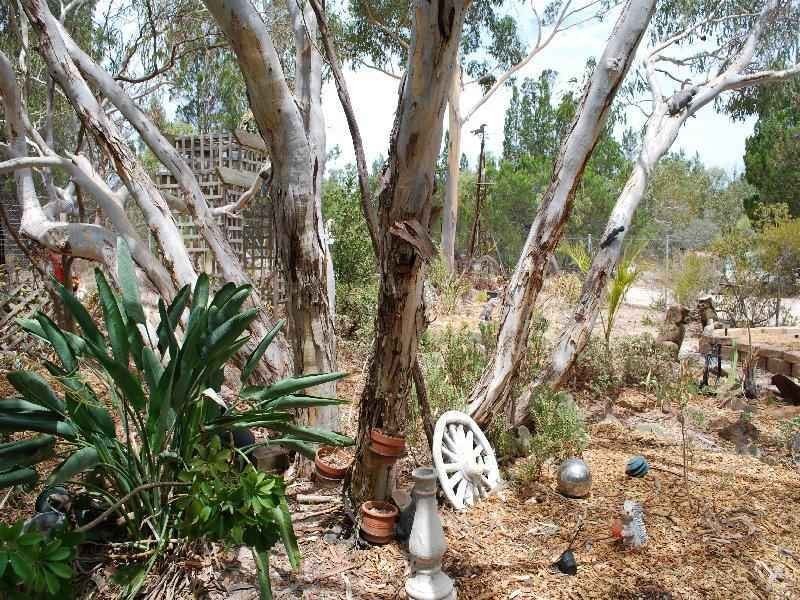 Lot 34 John Street, Lyndoch SA 5351
