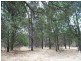 Lot 34 John Street, Lyndoch SA 5351