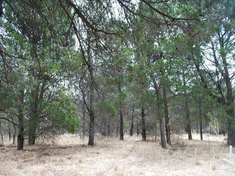 Lot 34 John Street, Lyndoch SA 5351