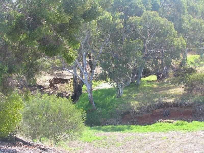 25 Parkway Avenue, Walkley Heights SA 5098