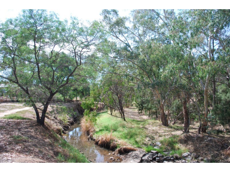 Lot 203 Quintal Avenue, Modbury SA 5092