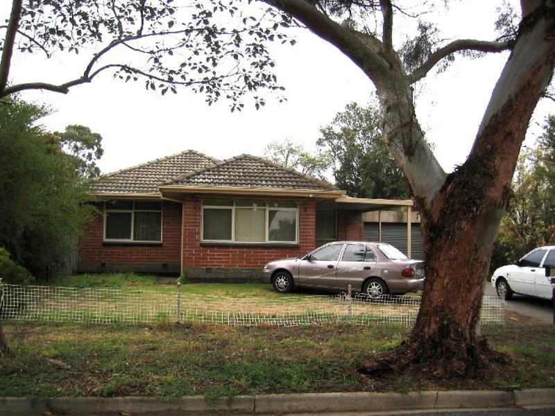 12 Lochinvar Street, Paradise SA 5075