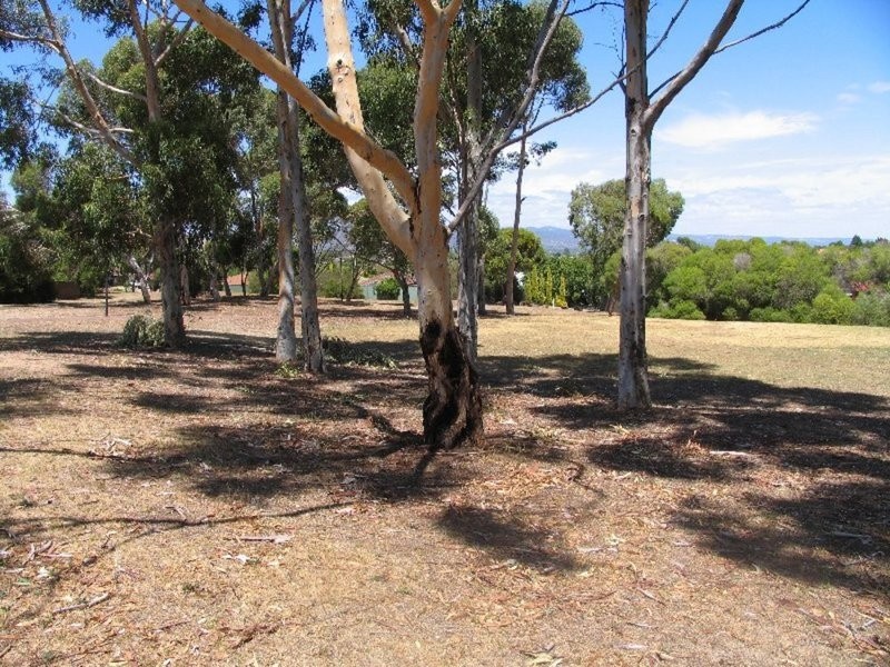 2 Redwattle Place, Wynn Vale SA 5127