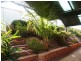 6 Aurora Court, Greenwith SA 5125