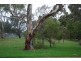 5 Jordan Street, Valley View SA 5093