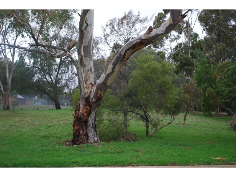 5 Jordan Street, Valley View SA 5093