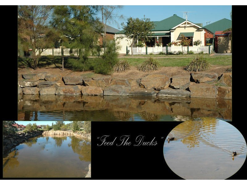 4 Blue Wren Circuit, Mawson Lakes SA 5095