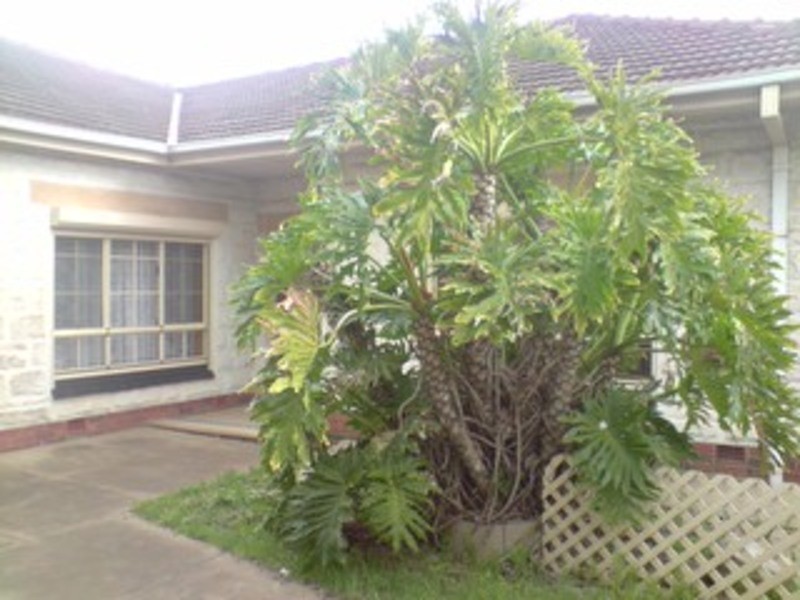 234 Salisbury Highway, Salisbury Downs SA 5108