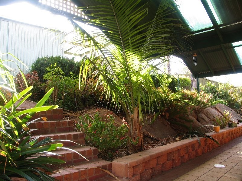 6 Aurora Circuit, Greenwith SA 5125