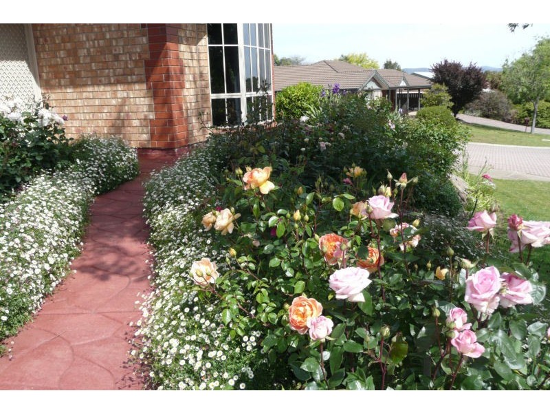 36 Ninnis Court, Greenwith SA 5125