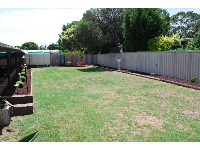 31 Cassia Street, Surrey Downs SA 5126