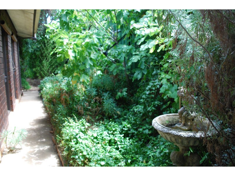 20B Roger Pitt Street, Modbury Heights SA 5092