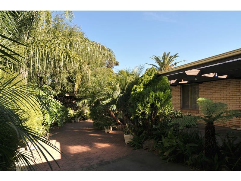 9 Radcliffe Avenue, Klemzig SA 5087