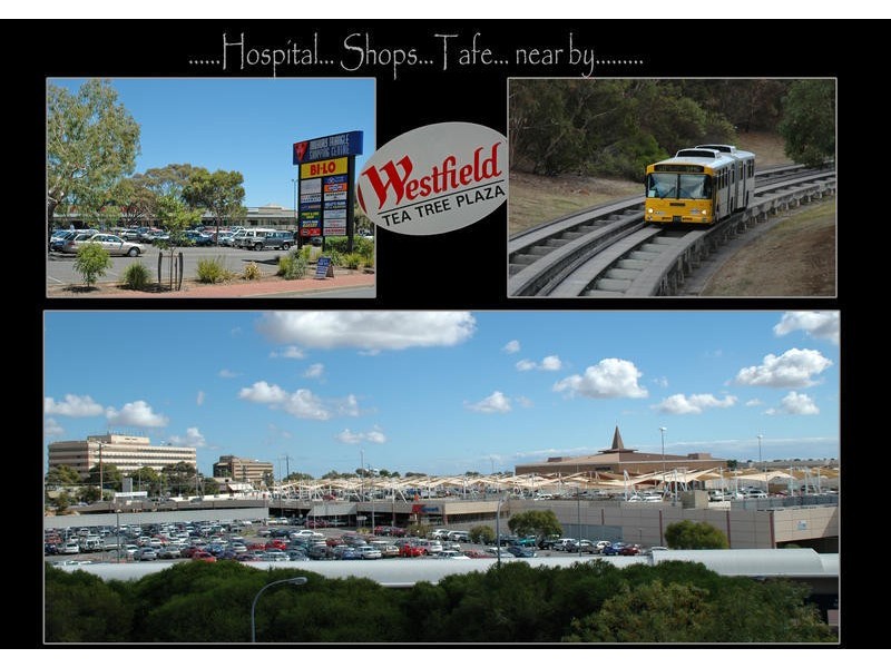 30 Trellios Street, Modbury SA 5092