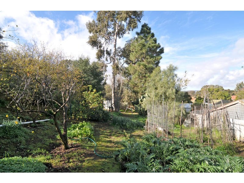 6 Lochiel Avenue, Campbelltown SA 5074