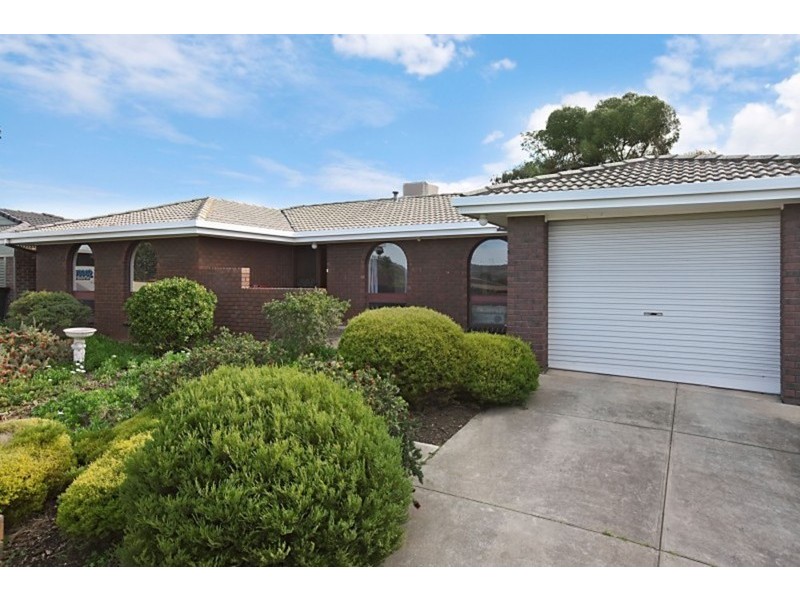 20 Mopoke Street, Modbury Heights SA 5092
