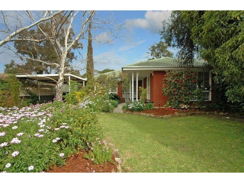 17 Tanya Street, Surrey Downs SA 5126