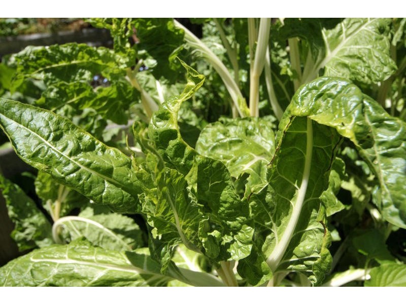 464 Kersbrook Forest Road, Kersbrook SA 5231