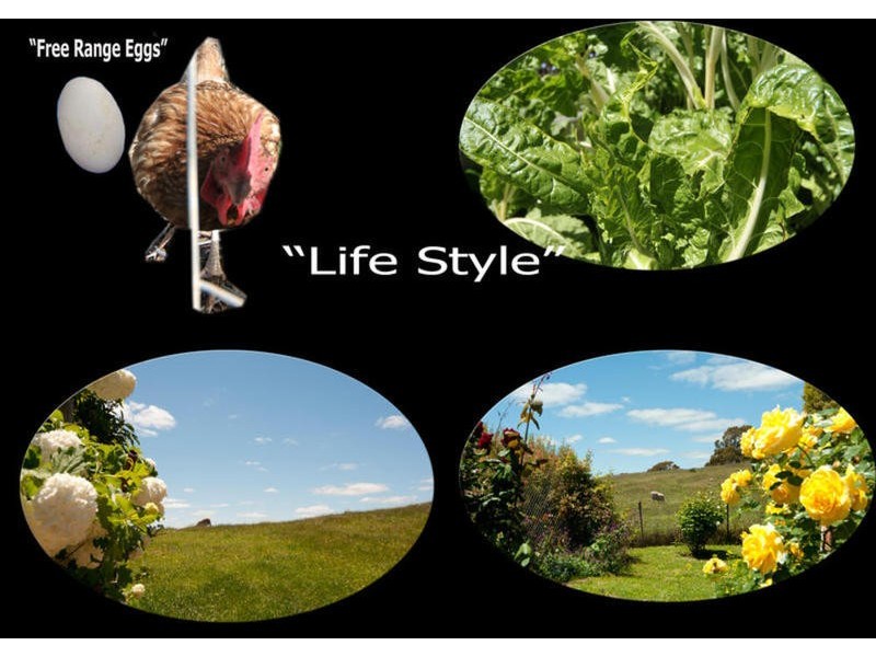 464 Kersbrook Forest Road, Kersbrook SA 5231