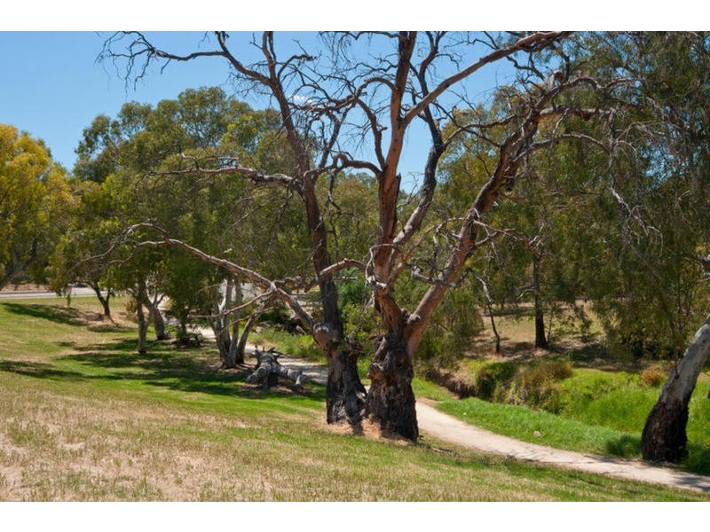 34 York Street, Valley View SA 5093