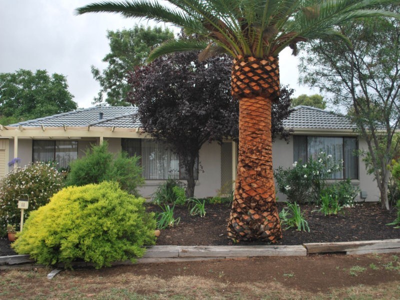 11 Telford Crescent, Modbury Heights SA 5092