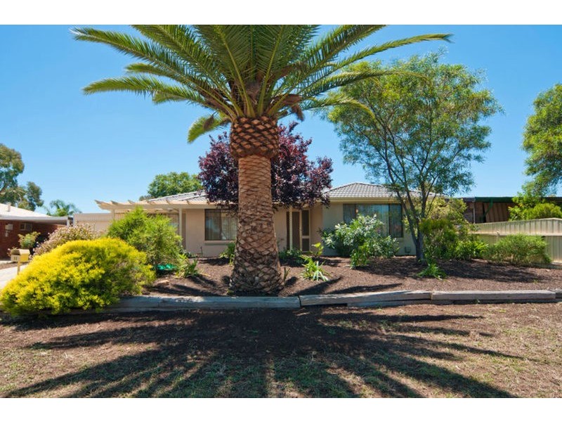 11 Telford Crescent, Modbury Heights SA 5092