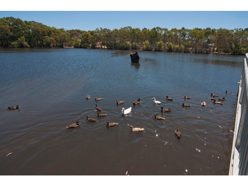 29 Park Lake Drive, Wynn Vale SA 5127