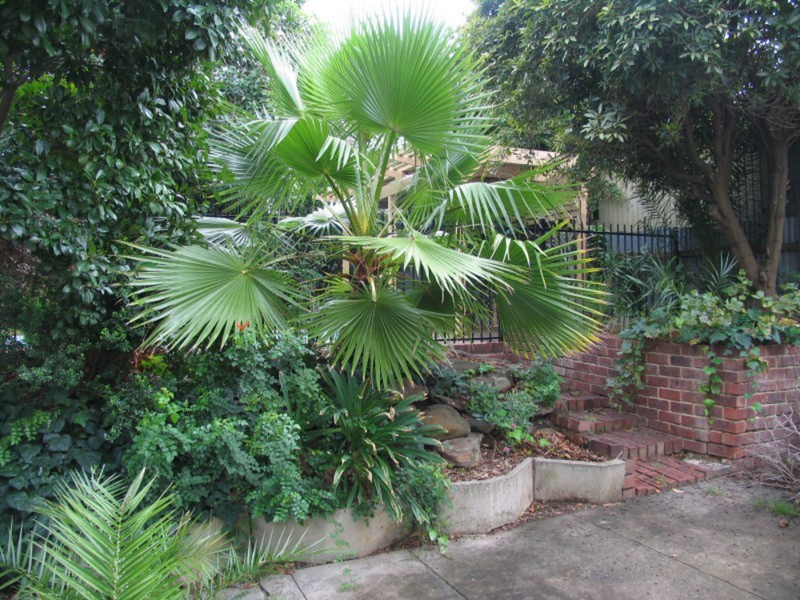 11 Heathcote Court, Redwood Park SA 5097