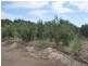 Lot 8 (2955) Main South Road (Formerly Aldinga), Tatachilla SA 5171