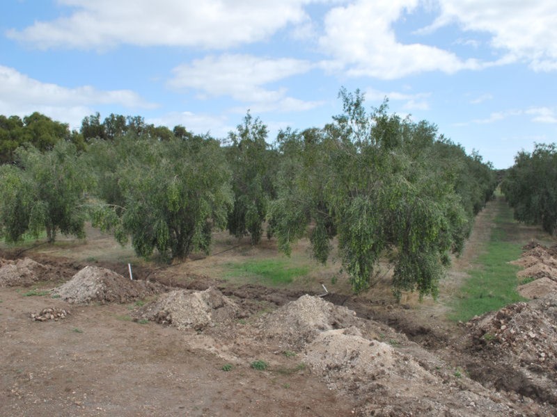Lot 8 (2955) Main South Road (Formerly Aldinga), Tatachilla SA 5171