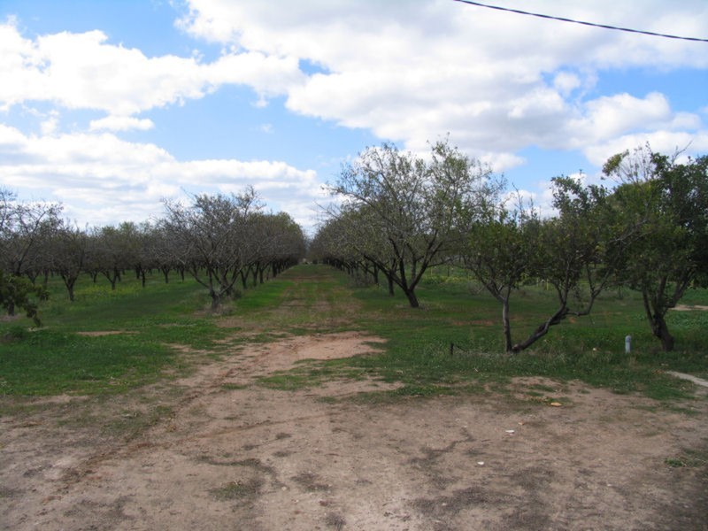 Lot 8 (2955) Main South Road (Formerly Aldinga), Tatachilla SA 5171