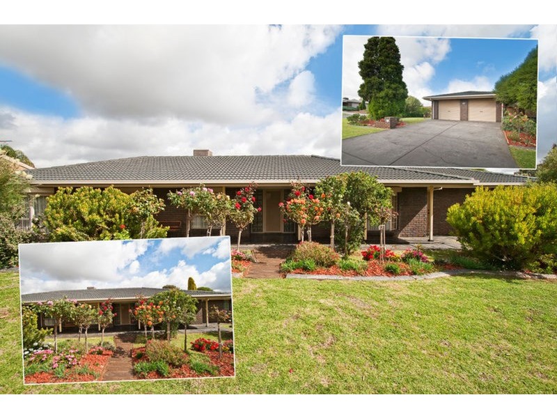 59 Park Lake Drive, Wynn Vale SA 5127
