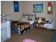 9 Canis Avenue, Hope Valley SA 5090