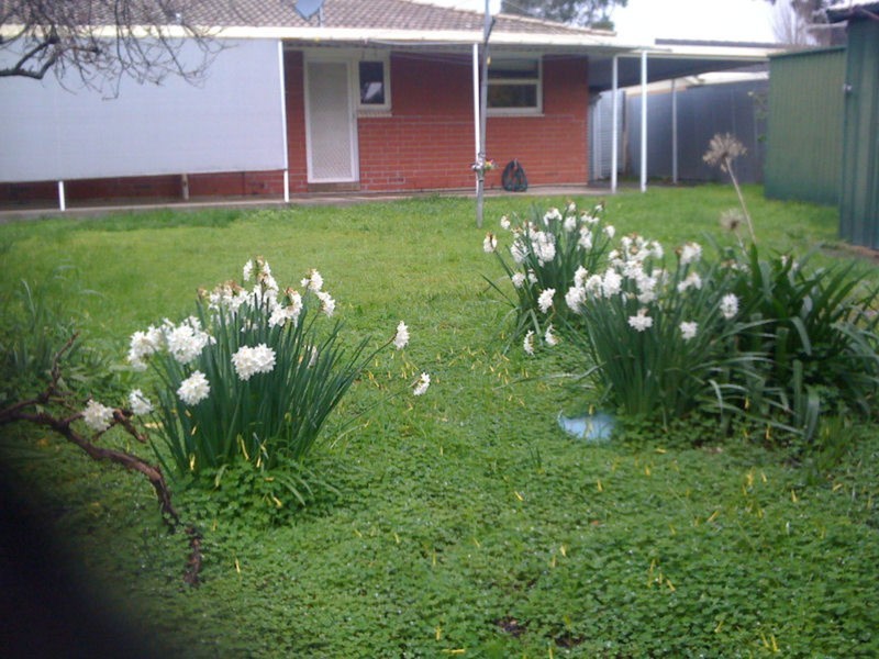 98 Heysen Avenue, Hope Valley SA 5090