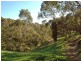 25 Amundsen Drive, Ingle Farm SA 5098