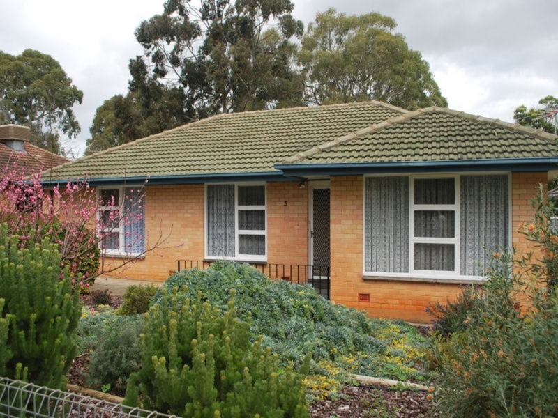 3 Clyde Street, Modbury SA 5092