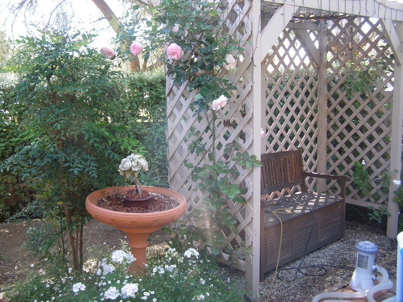 116 Perseverance Road, Tea Tree Gully SA 5091