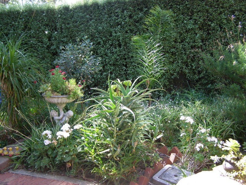 116 Perseverance Road, Tea Tree Gully SA 5091