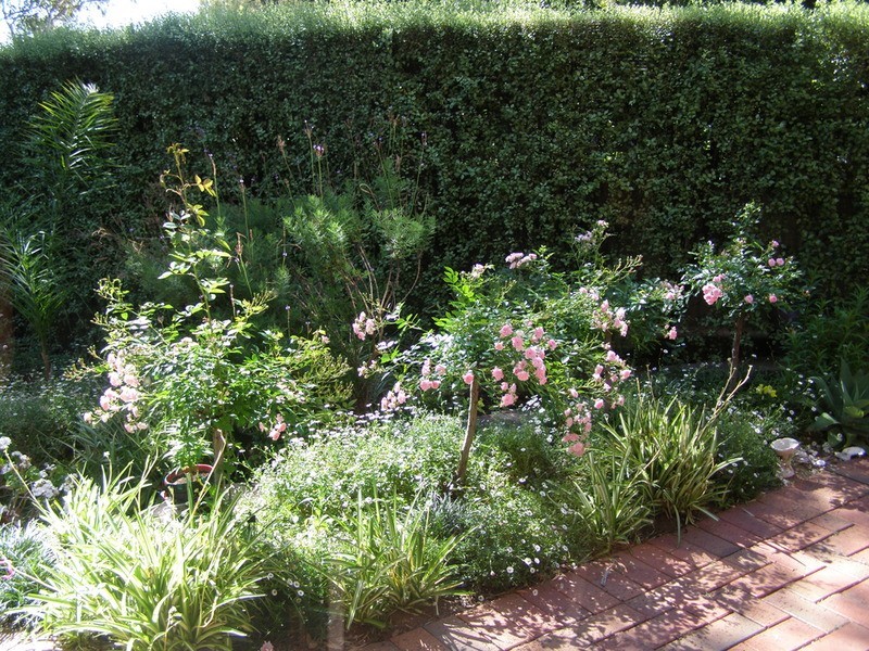 116 Perseverance Road, Tea Tree Gully SA 5091