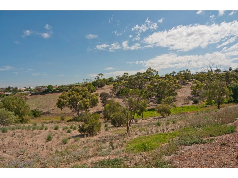 2 Ackland Court, Wynn Vale SA 5127