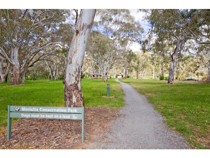 367 Montacute Road, Athelstone SA 5076