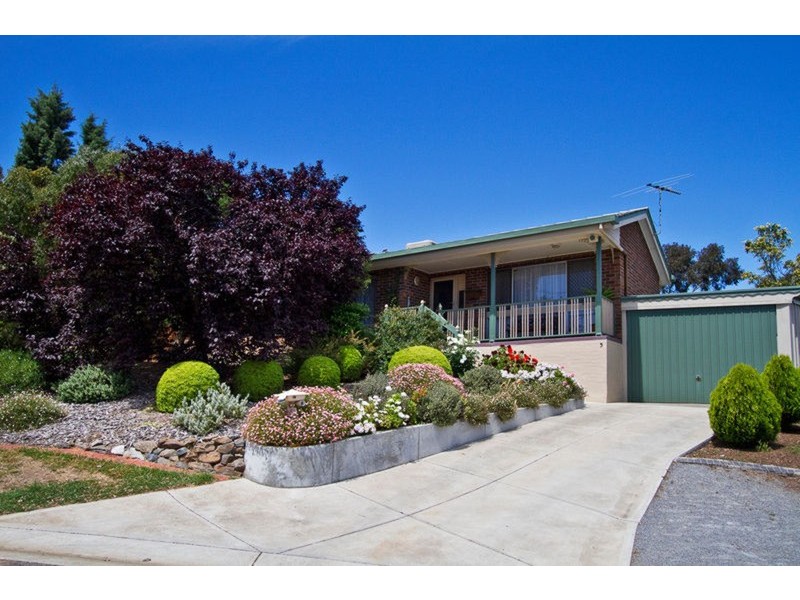 5 Musgrave Avenue, Banksia Park SA 5091