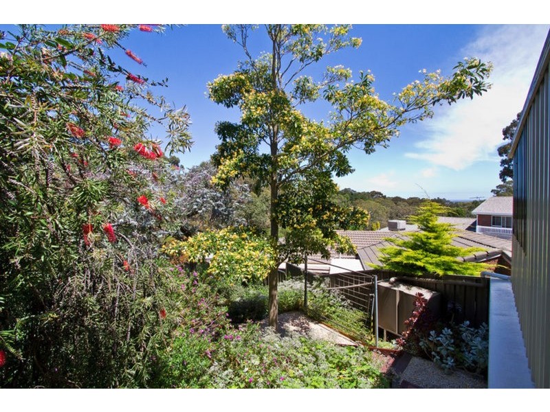 5 Musgrave Avenue, Banksia Park SA 5091