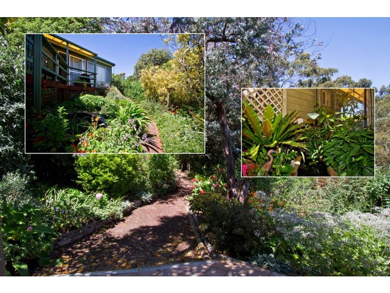 5 Musgrave Avenue, Banksia Park SA 5091