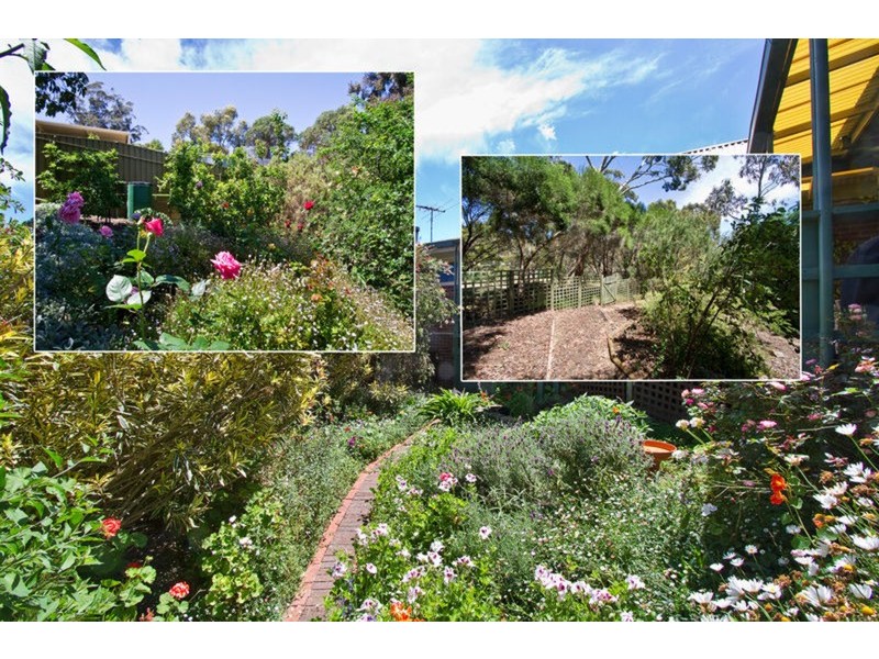 5 Musgrave Avenue, Banksia Park SA 5091