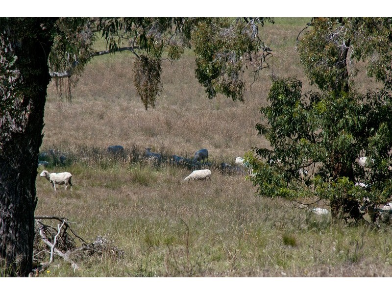 Lot 14  Scott Street, Kersbrook SA 5231