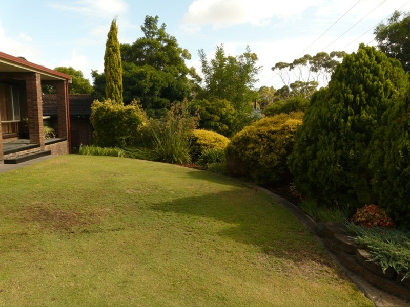 43 Vista Avenue, Valley View SA 5093