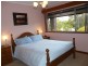 43 Vista Avenue, Valley View SA 5093