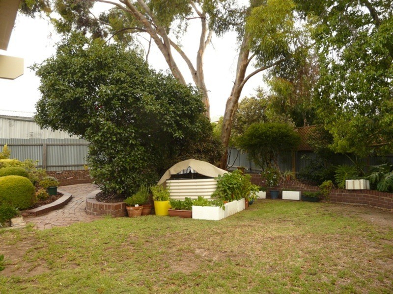 43 Vista Avenue, Valley View SA 5093