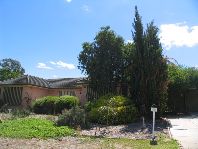 12 Clifford Way, Valley View SA 5093